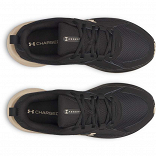 UA Assert 11