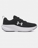 UA BGS Assert 11