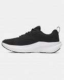 UA BGS Assert 11