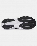 UA BGS Assert 11
