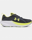 UA BGS Assert 11