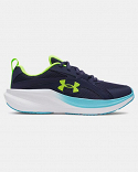 UA BGS Assert 11