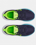 UA BGS Assert 11