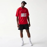 NBA GRPHC MESH TEE CHIBUL  FDR