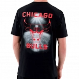 NBA COURT GRAPHC REG TEE CHIBUL