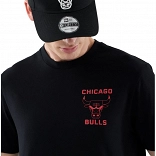 NBA COURT GRAPHC REG TEE CHIBUL