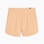ESS Elevated 5" Shorts