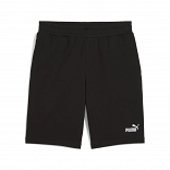 ESS No. 1 Logo Shorts 10"