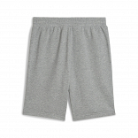ESS No. 1 Logo Shorts 10"