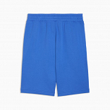 ESS No. 1 Logo Shorts 10" (s)