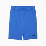ESS No. 1 Logo Shorts 10" (s)