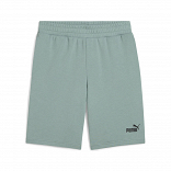 ESS No. 1 Logo Shorts 10" (s)
