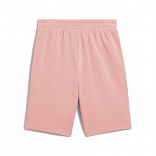 ESS 2 COLOR No. 1 Logo Shorts 10" TR