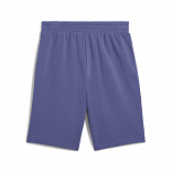 ESS 2 COLOR No. 1 Logo Shorts 10" TR