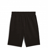 ESS 2 COLOR No. 1 Logo Shorts 10" TR
