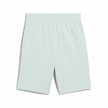 ESS 2 COLOR No. 1 Logo Shorts 10" TR
