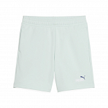 ESS 2 COLOR No. 1 Logo Shorts TR B