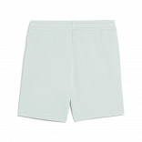 ESS 2 COLOR No. 1 Logo Shorts TR B