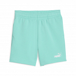ESS 2 COLOR No. 1 Logo Shorts TR B