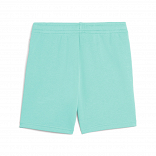 ESS 2 COLOR No. 1 Logo Shorts TR B