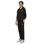 Metallic Hooded Sweat Suit FL G