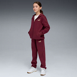 Metallic Hooded Sweat Suit FL G