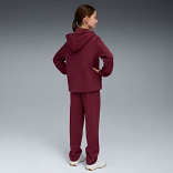 Metallic Hooded Sweat Suit FL G
