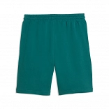 ESS ELEVATED Shorts 9" TR