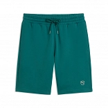 ESS ELEVATED Shorts 9" TR