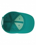NAN FUTURA CURVE BRIM CAP