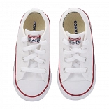 CHUCK TAYLOR ALL STAR SEASONAL