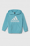 Essentials Logo Hoodie