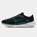 Nike Winflo 10
