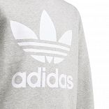 Trefoil Crew Sweatshirt