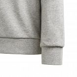 Trefoil Crew Sweatshirt