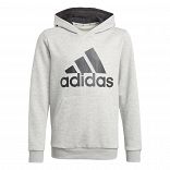 adidas Essentials Hoodie