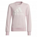Essentials Sweatshirt