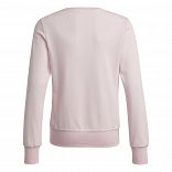 Essentials Sweatshirt