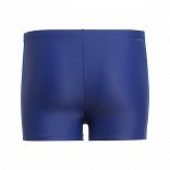 3-Stripes Swim Boxers