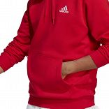 ESSENTIALS FLEECE HOODIE