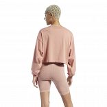CLASSICS WARDROBE ESSENTIAL COTTON LONGSLEEVE