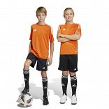 Tiro 23 League Shorts
