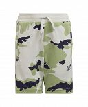 Camo Shorts and Tee Set
