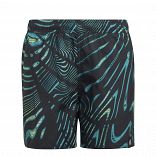 BOYS GRAPHIC SHORT