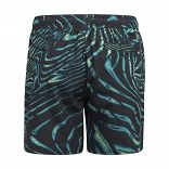 BOYS GRAPHIC SHORT