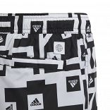 Must Have Graphic Swim Shorts