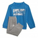 adidas Essentials Sweatshirt and Pants