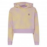 Graphic Print Crop Hoodie