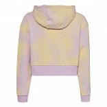 Graphic Print Crop Hoodie