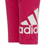 Designed 2 Move Tights